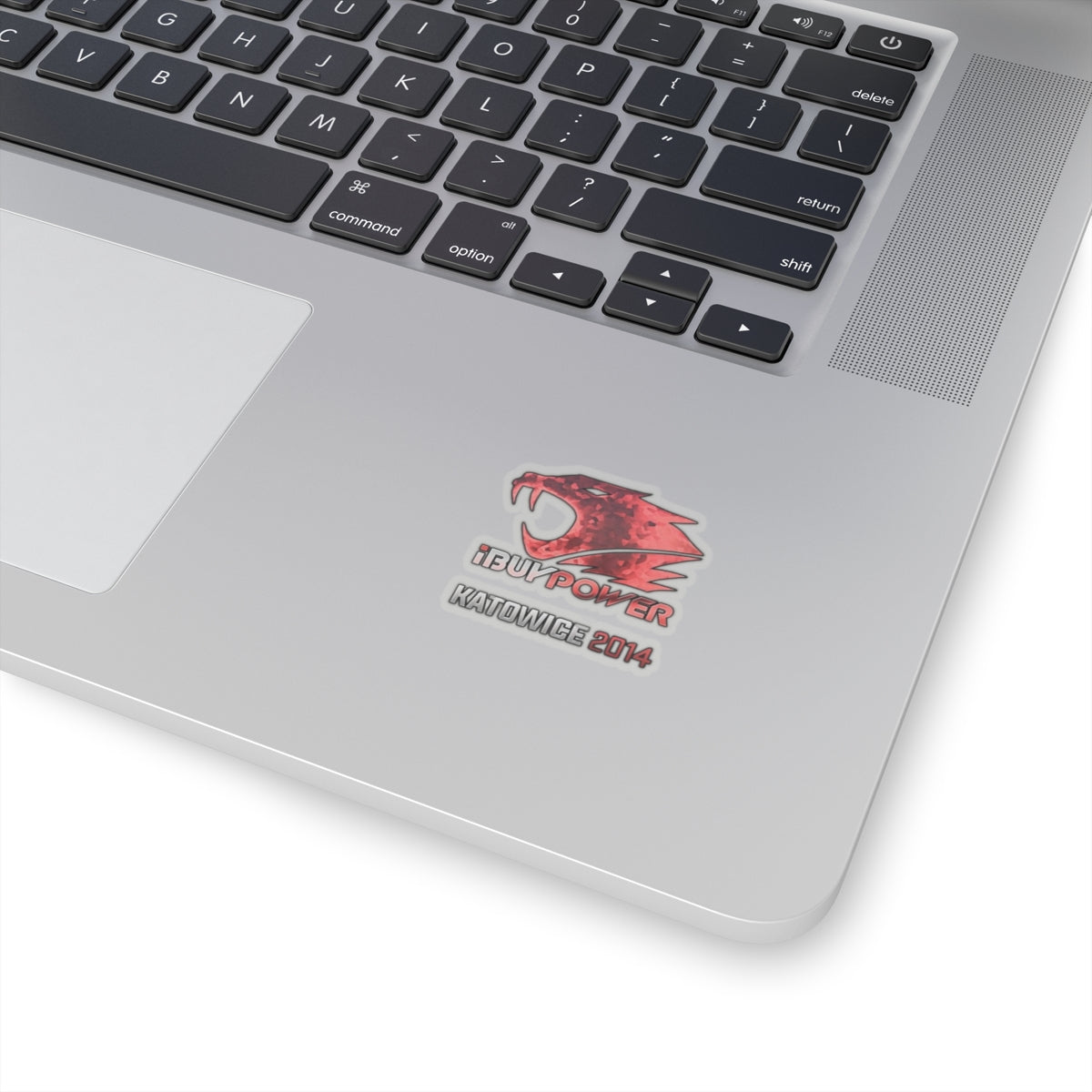 iBUYPOWER (Holo) Katowice 2014 Sticker