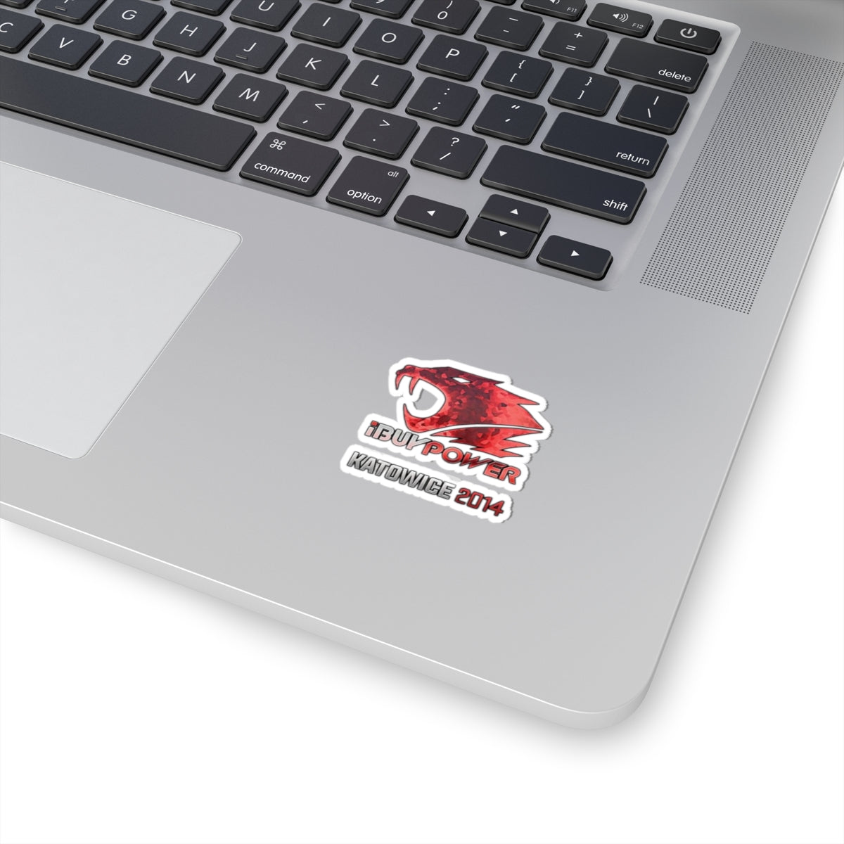 iBUYPOWER (Holo) Katowice 2014 Sticker
